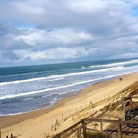 Le Calme Au Bord De L'ocean *